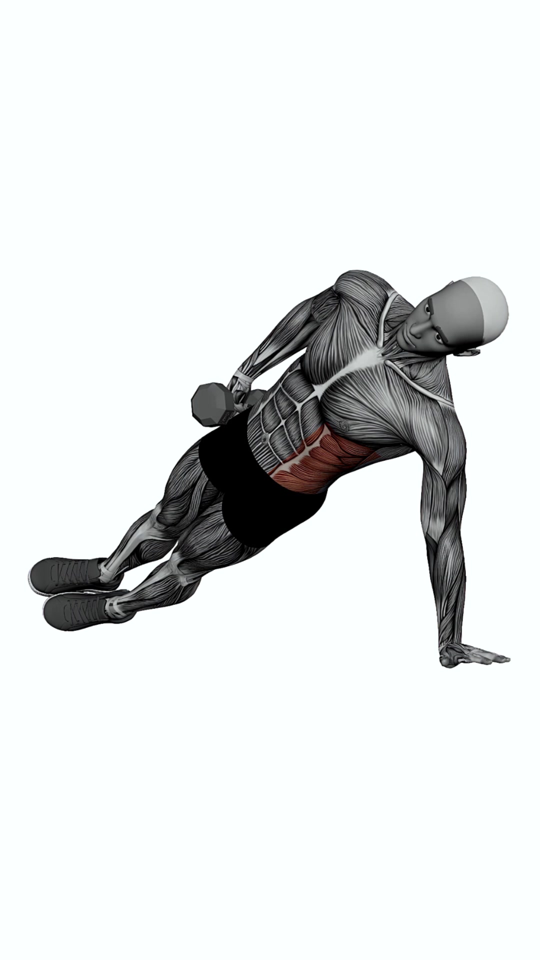 Dumbbell Hand Side Plank