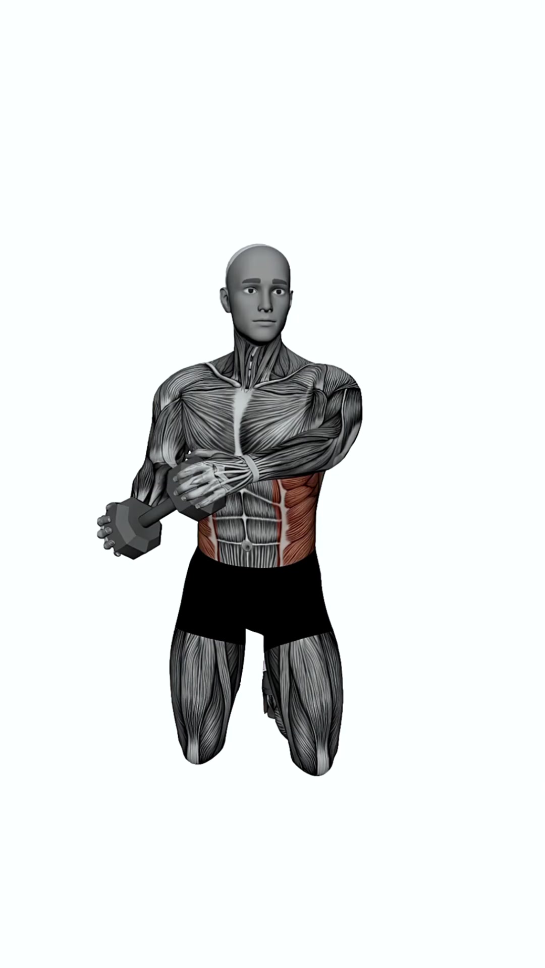 Dumbbell Kneeling Wood Chopper