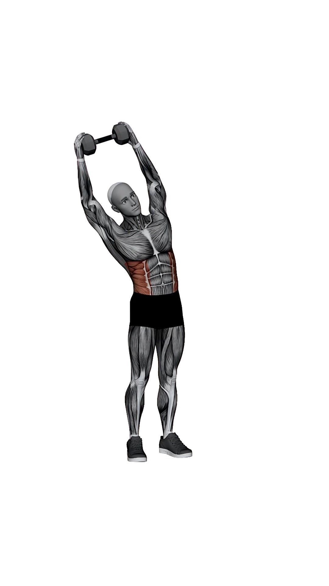 Dumbbell Overhead Side Bend