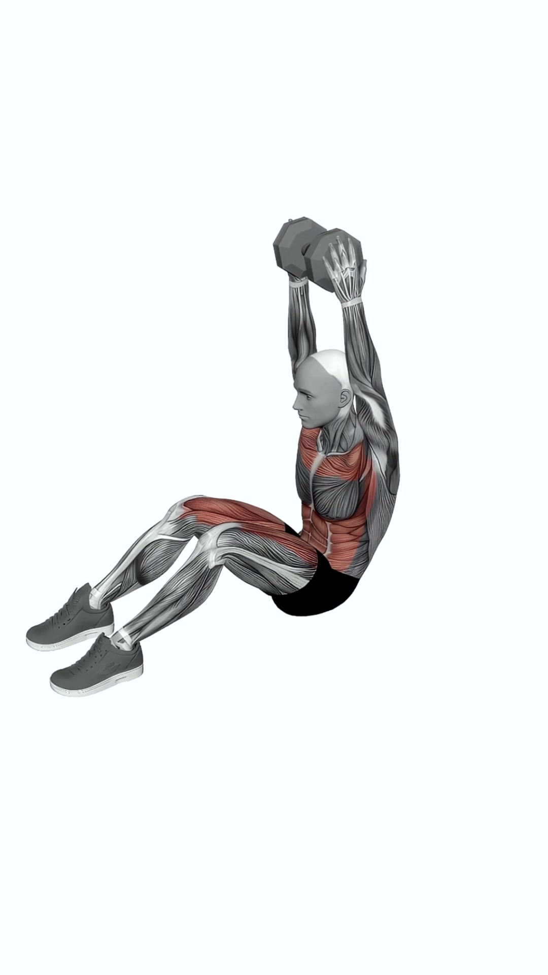 Dumbbell Overhead Sit-up