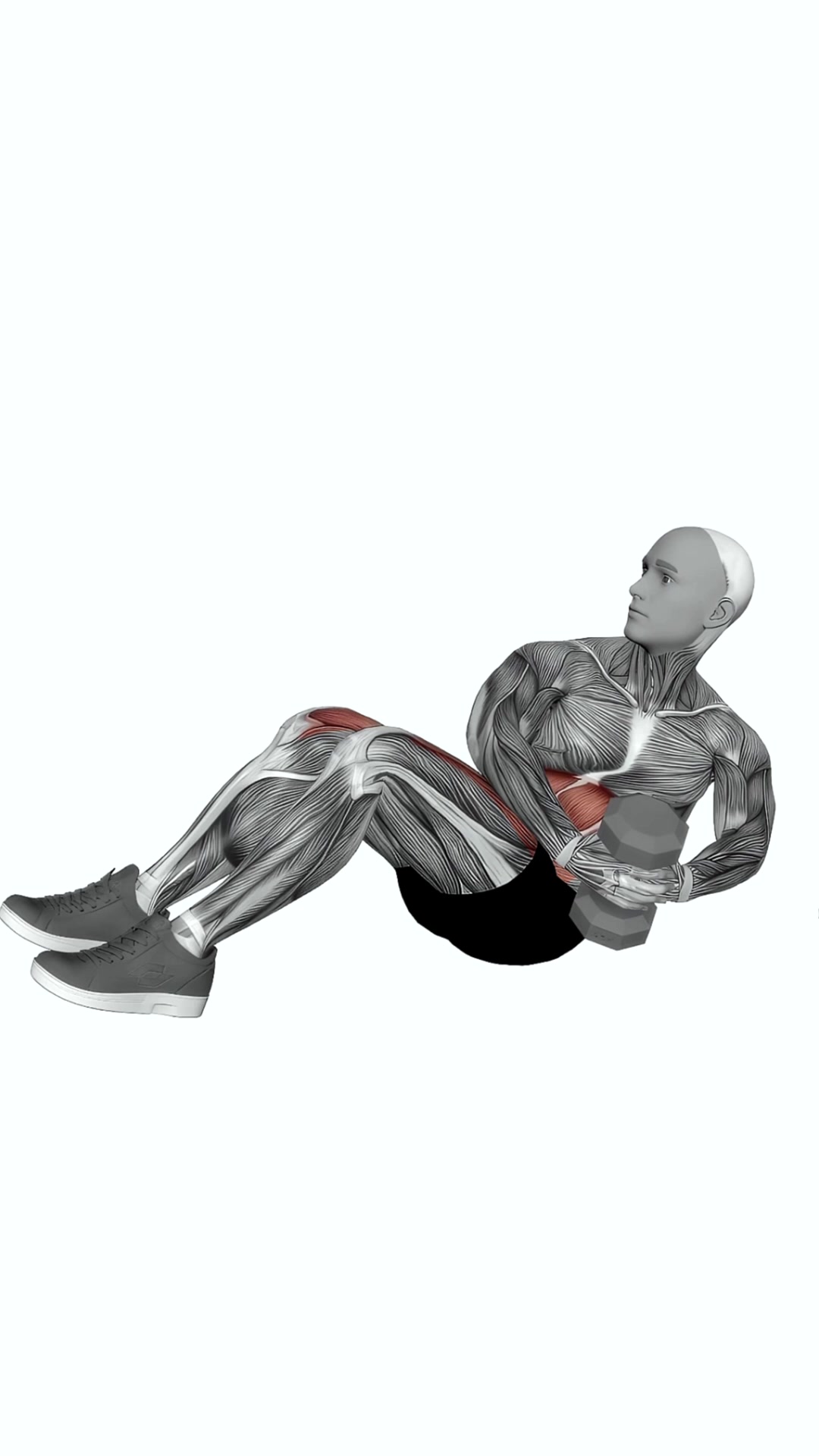 Dumbbell Russian Twist With Legs Floor Off