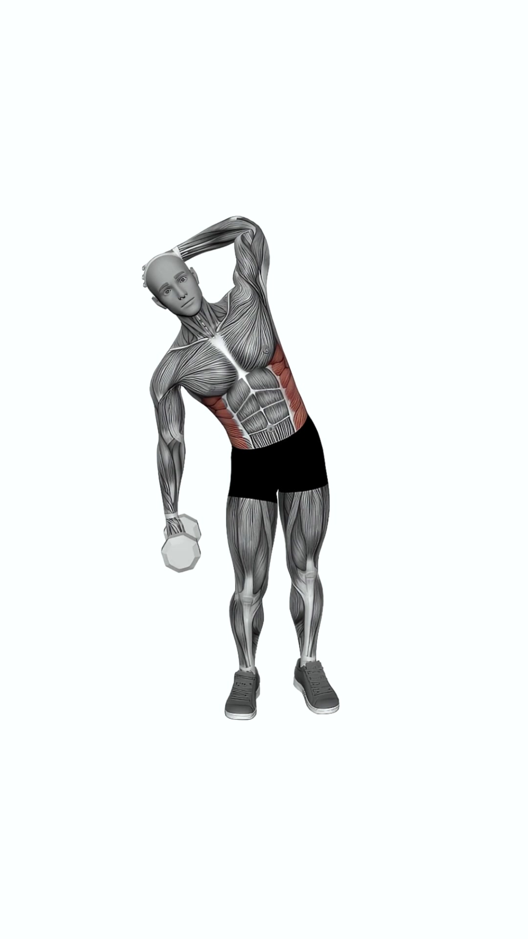 Dumbbell Side Bend