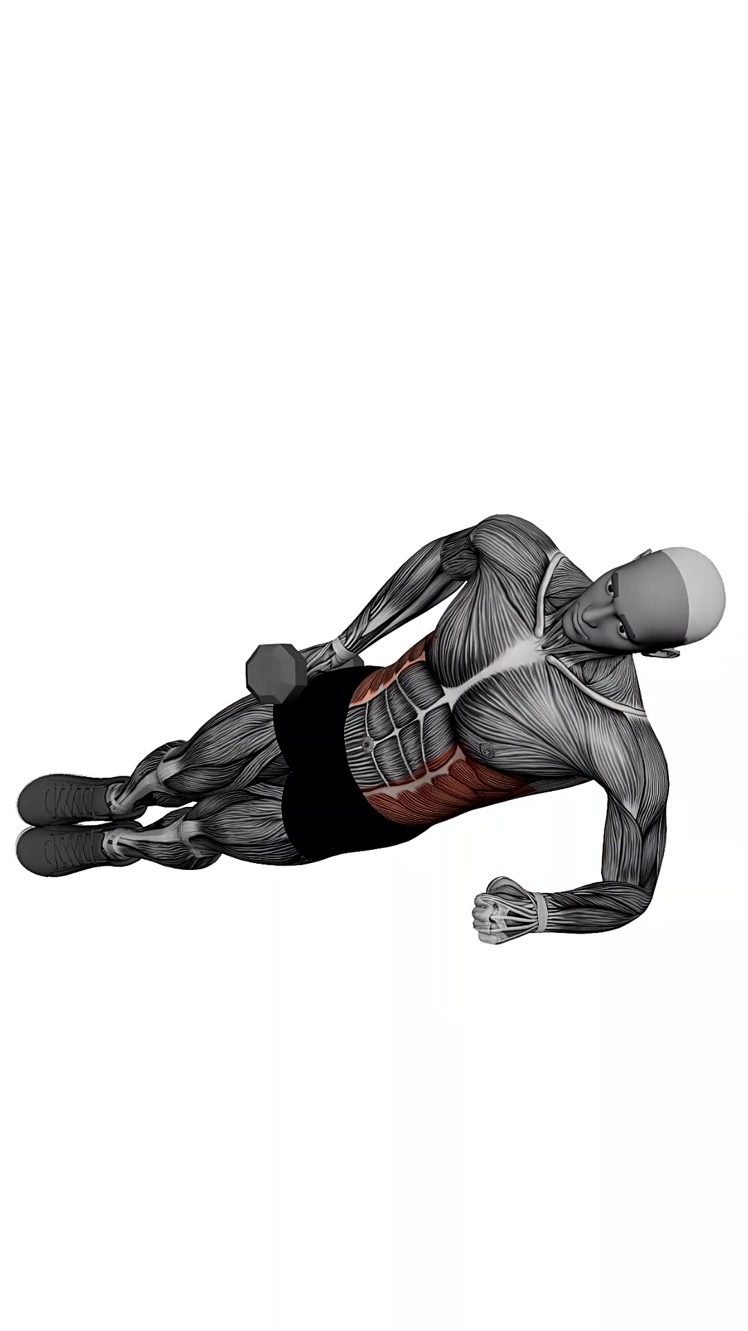 Dumbbell Side Plank Up Down