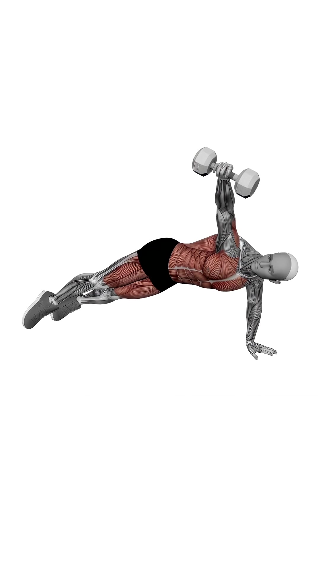 Dumbbell Side Plank With Rear Fly