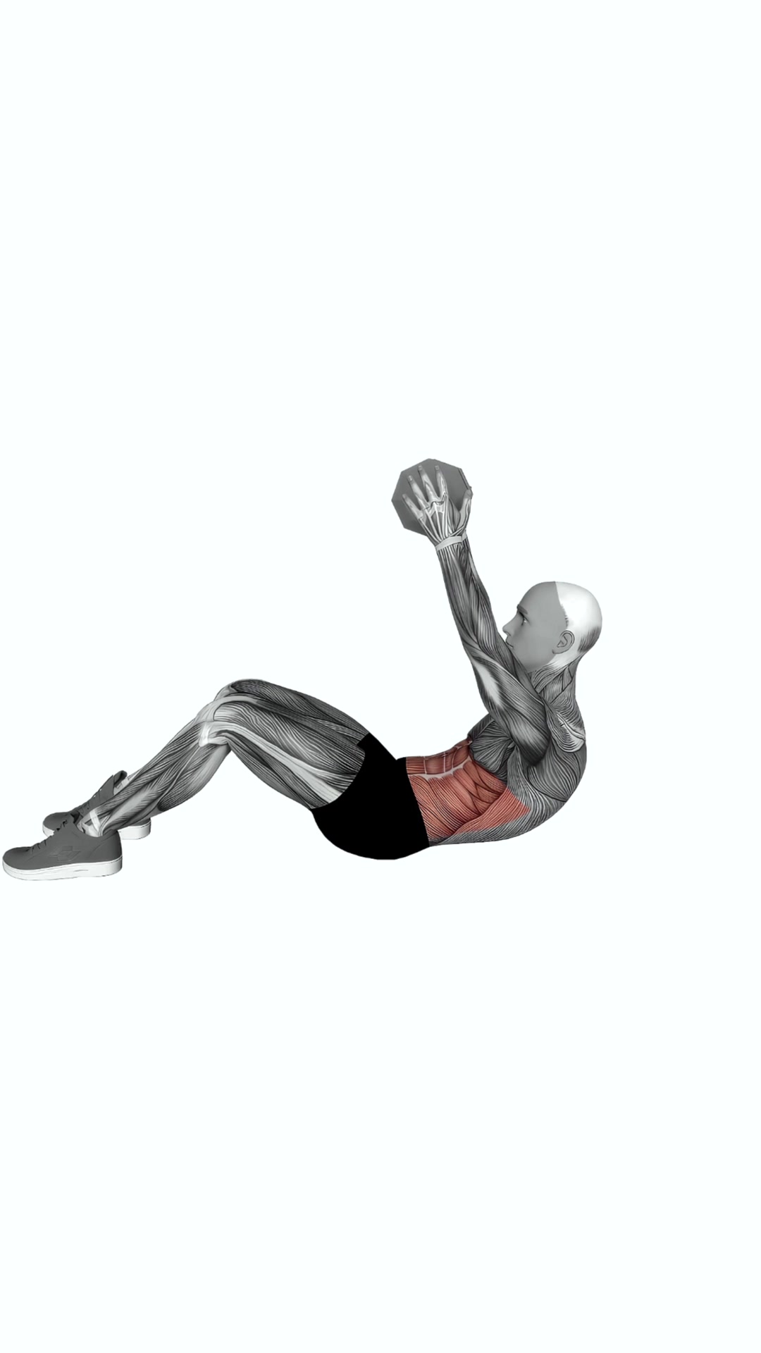 Dumbbell Straight Arm Crunch