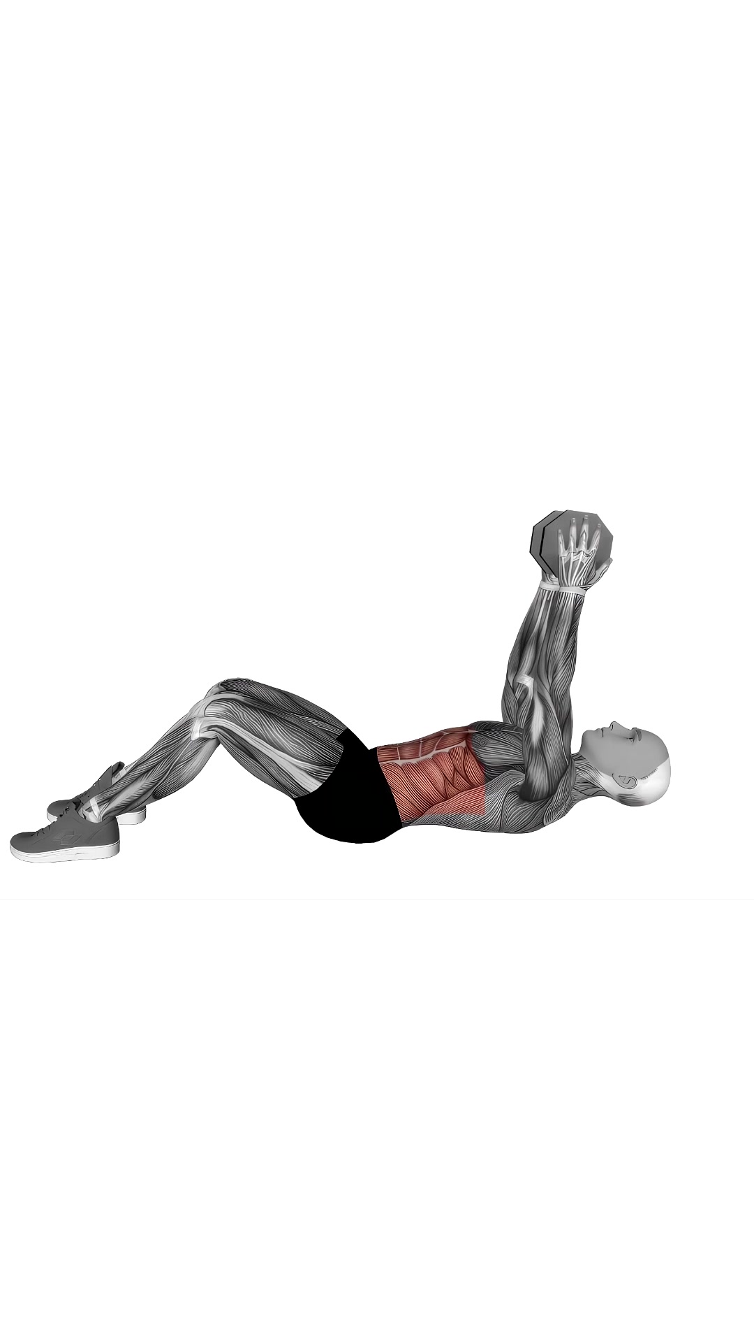 Dumbbell Straight Arm Twisting Sit-up
