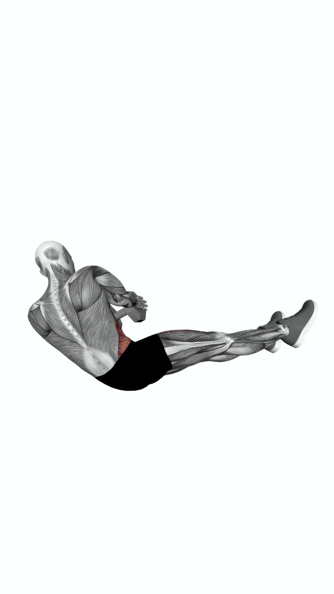 Dumbbell Straight Leg Russian Twist
