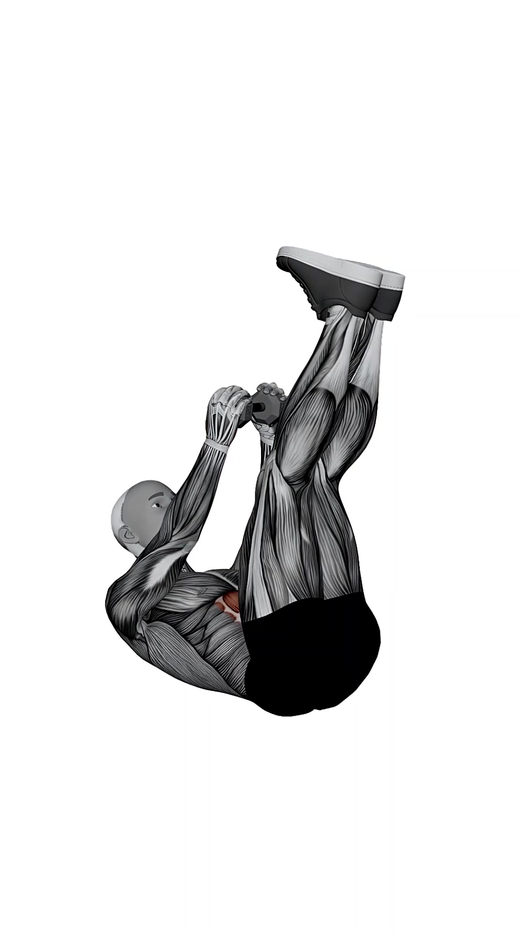 Dumbbell Suitcase Crunch