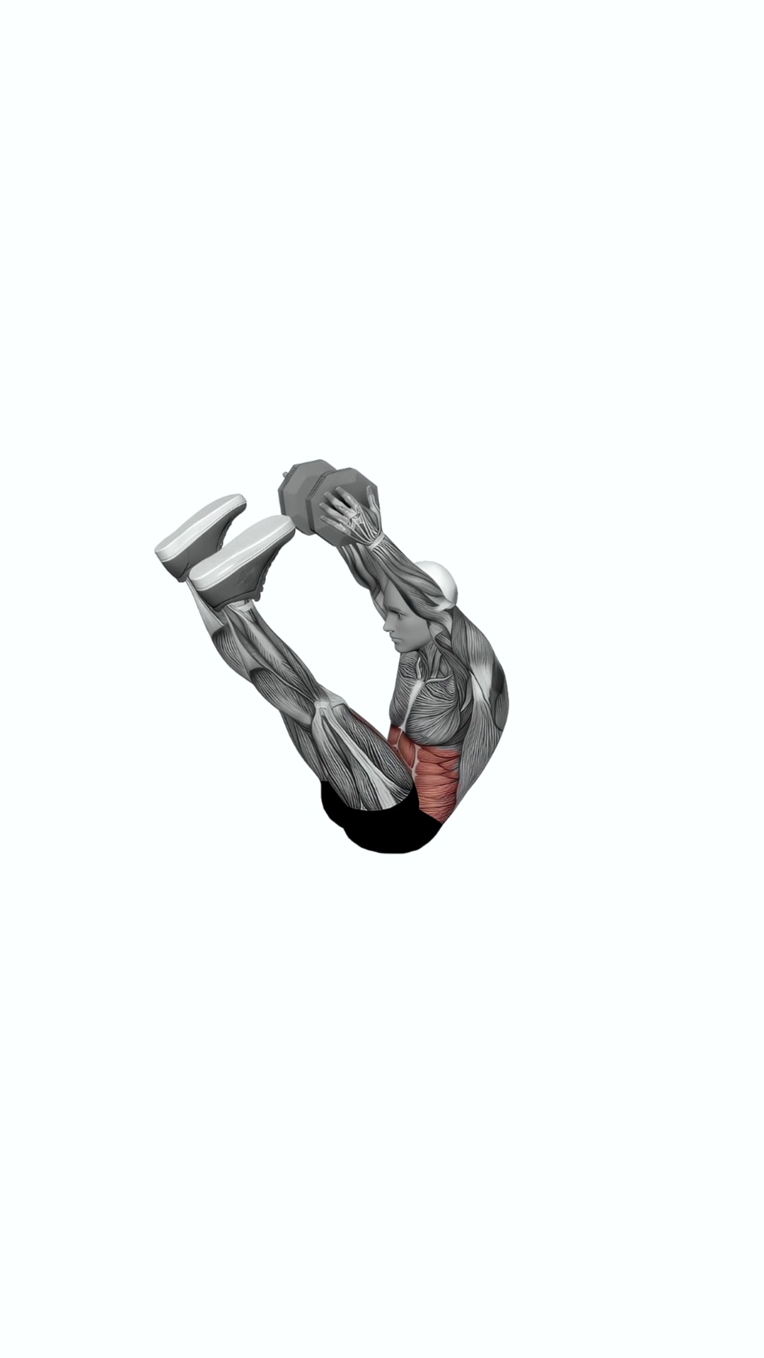 Dumbbell V-up