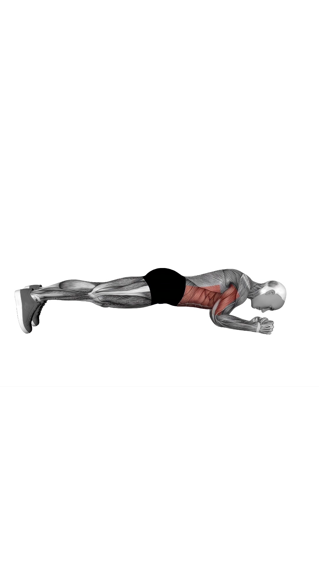 Elbow Push Plank Up