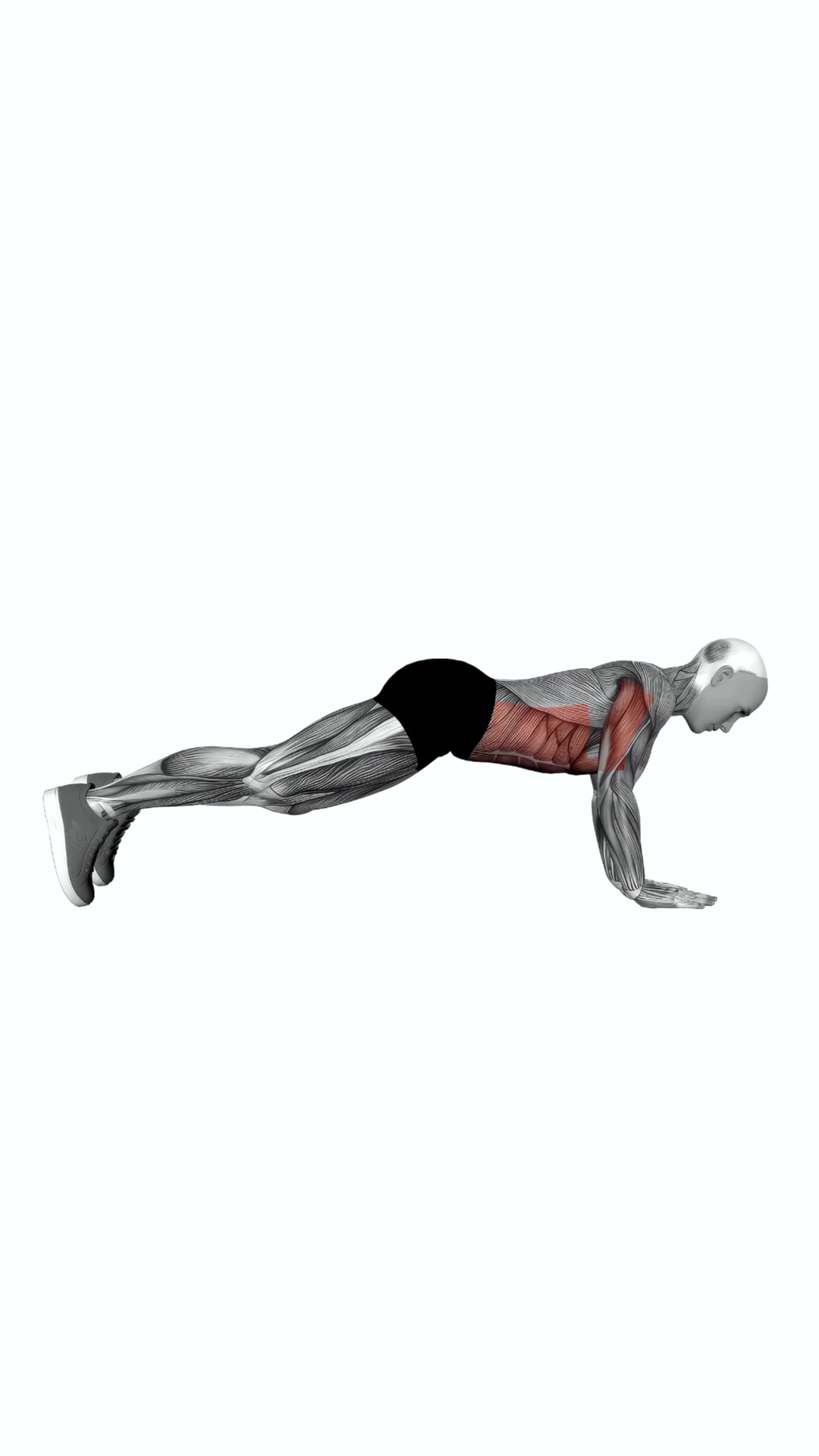Elbow-up And Down Dynamic Plank