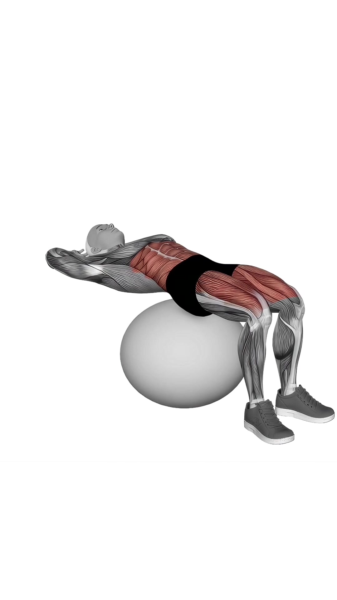 Exercise Ball Sit Ups