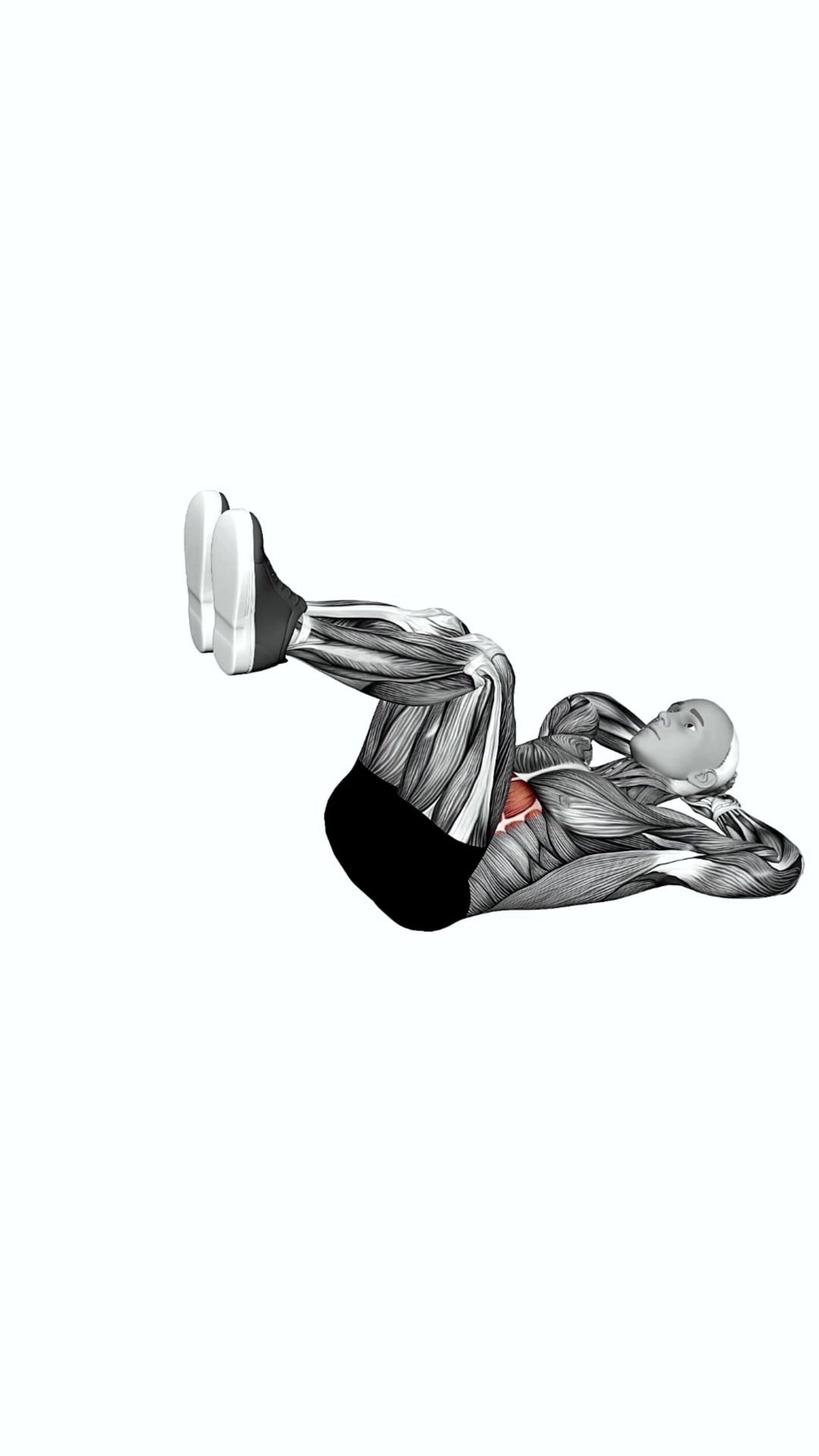 Flat Knee Raise