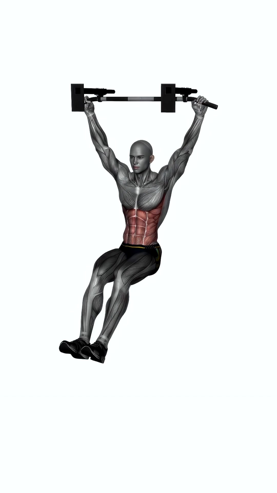 Hanging Knee Raises