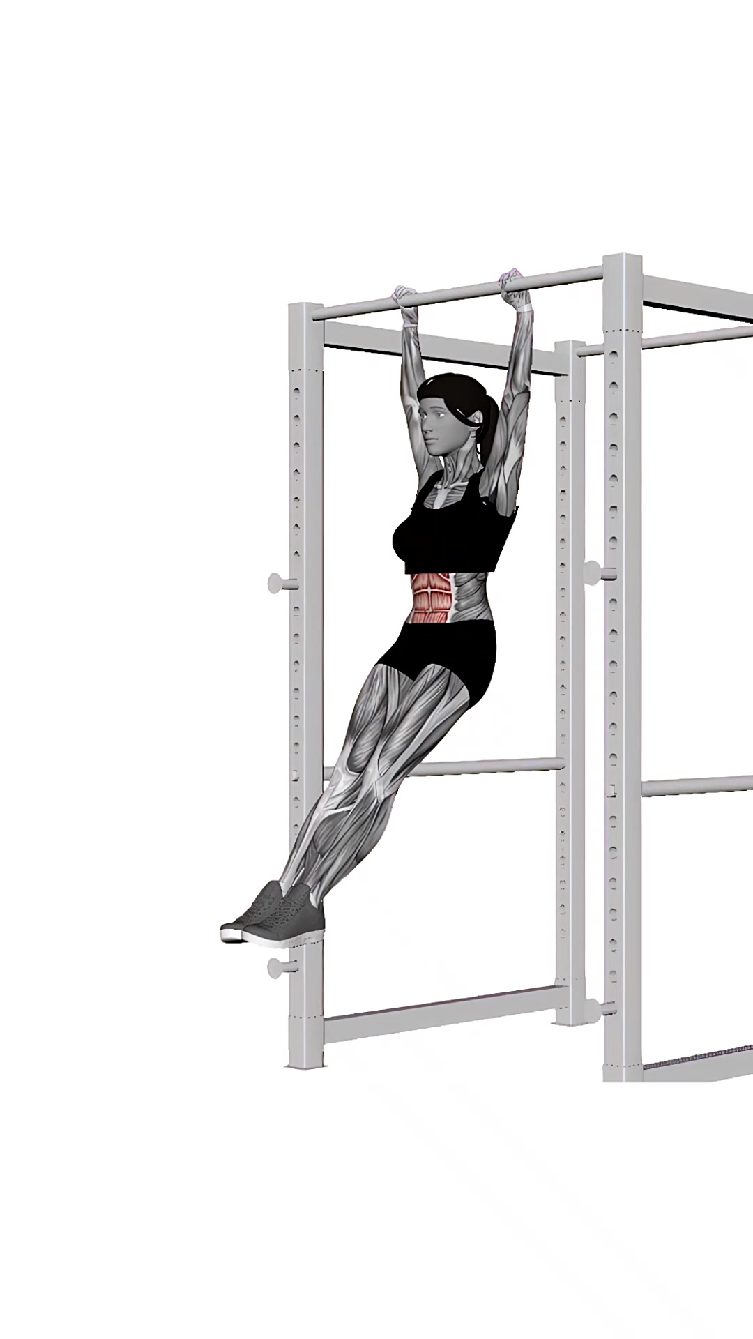 Hanging Leg Raises