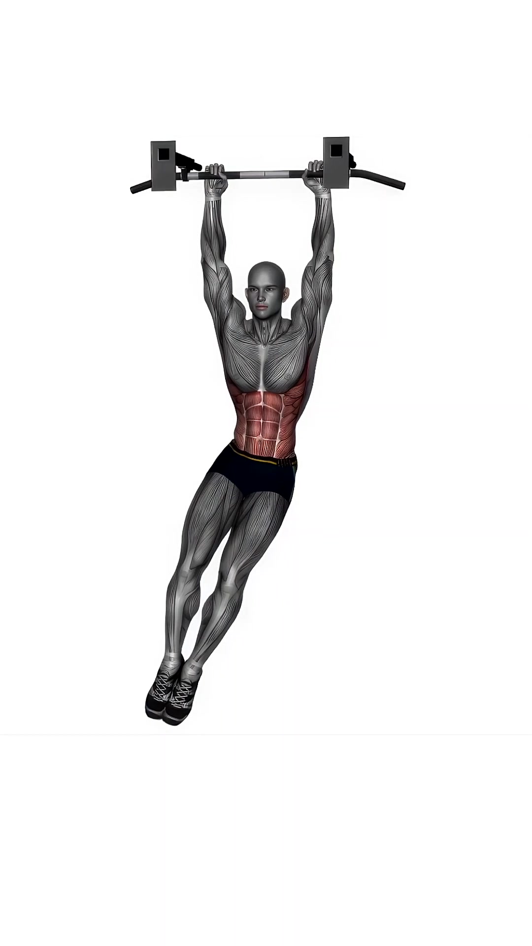 Hanging Oblique Crunches