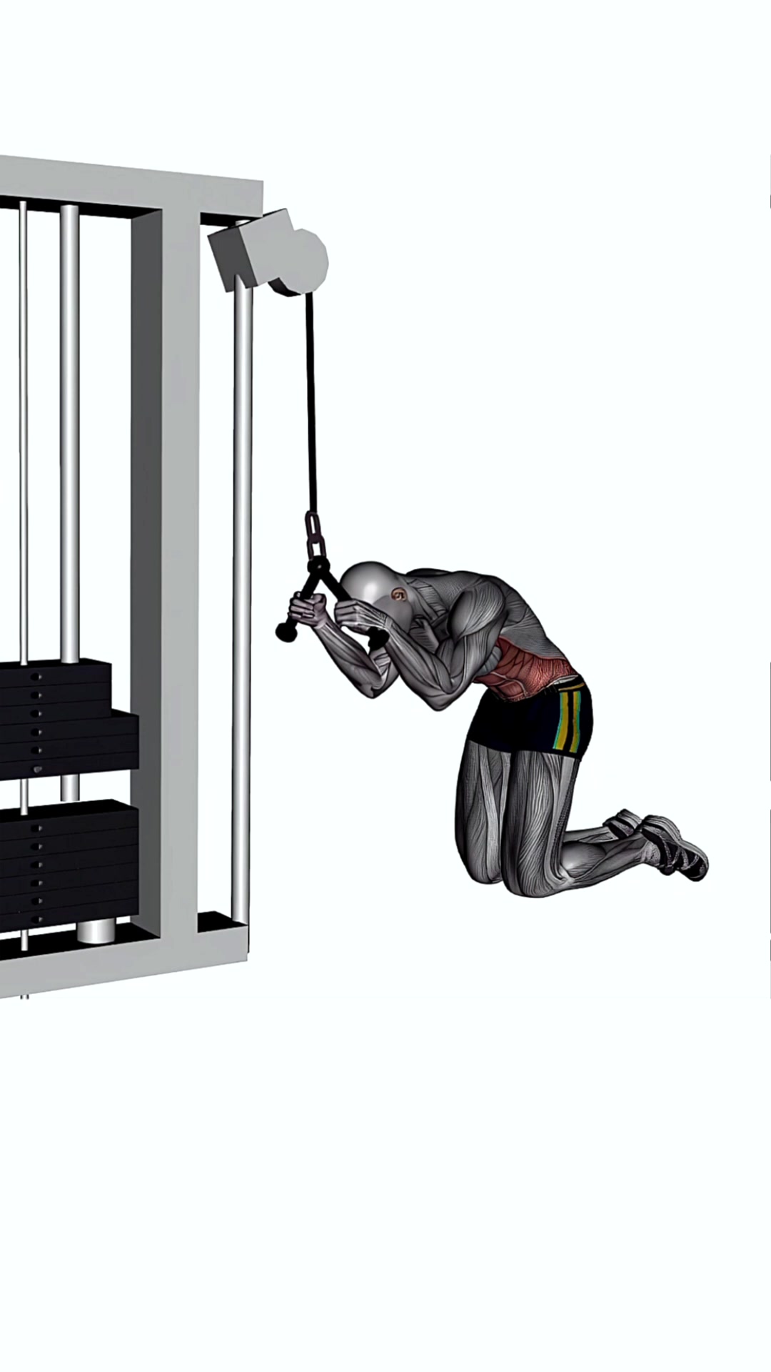 High Cable Kneeling Crunch