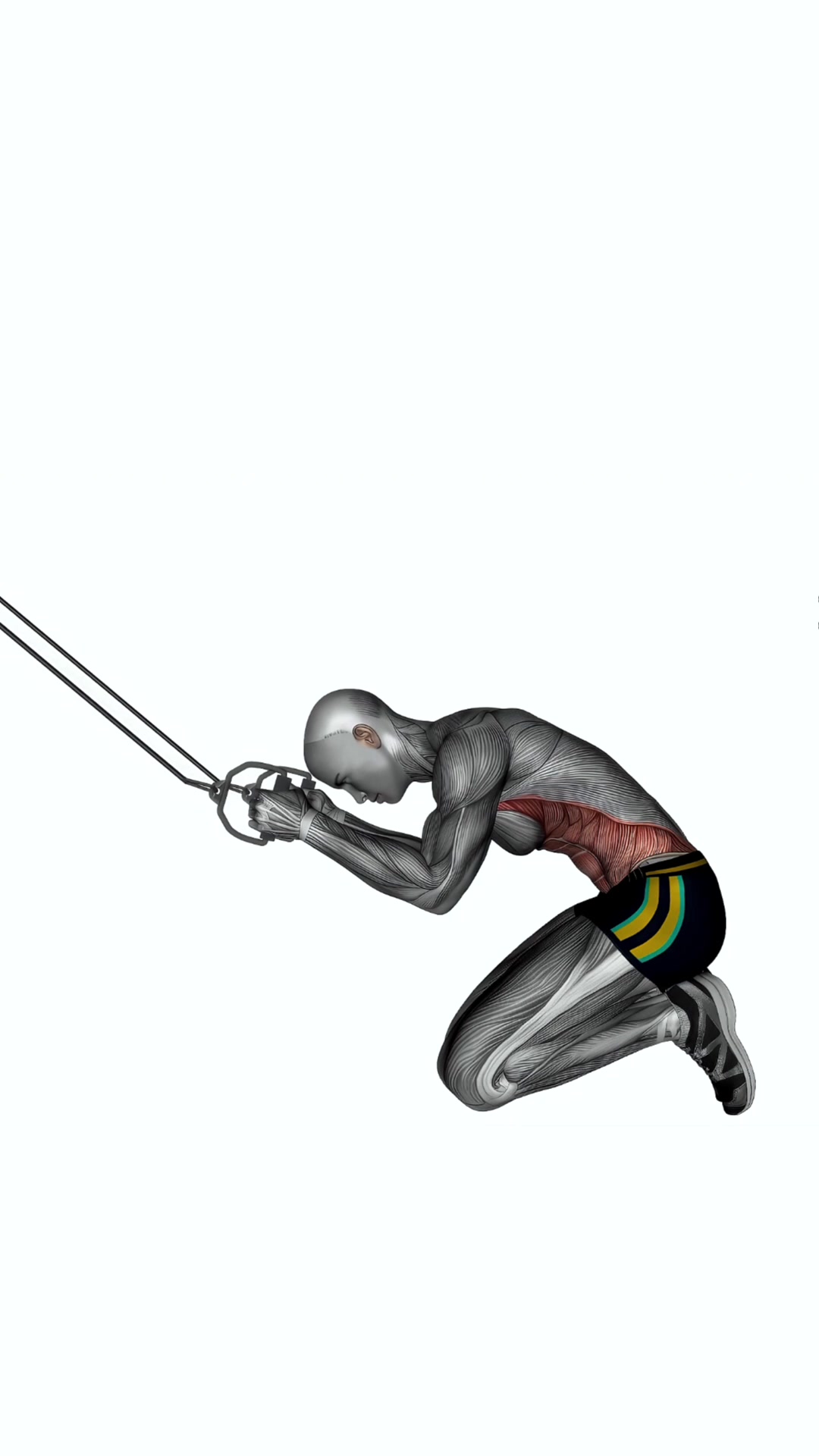 High Resistance Band Kneeling Crunch