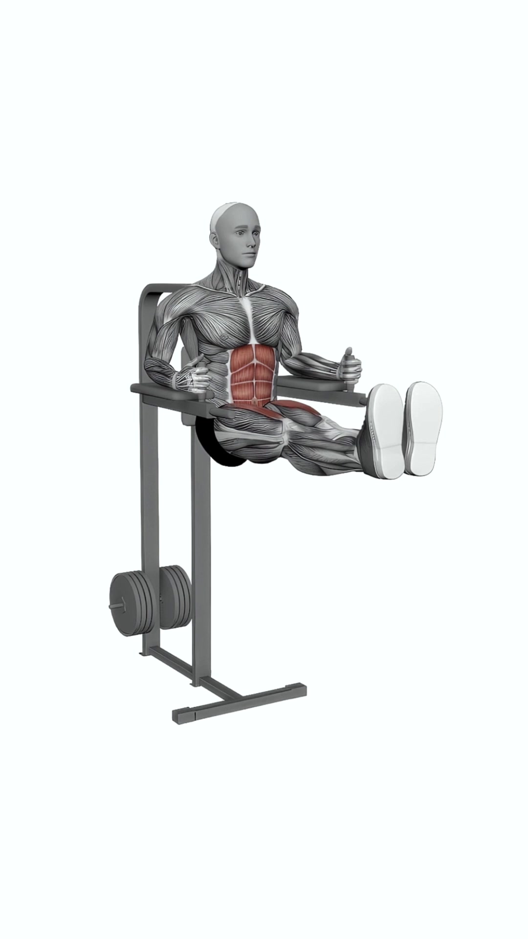 Leg Raises (straight Legs)