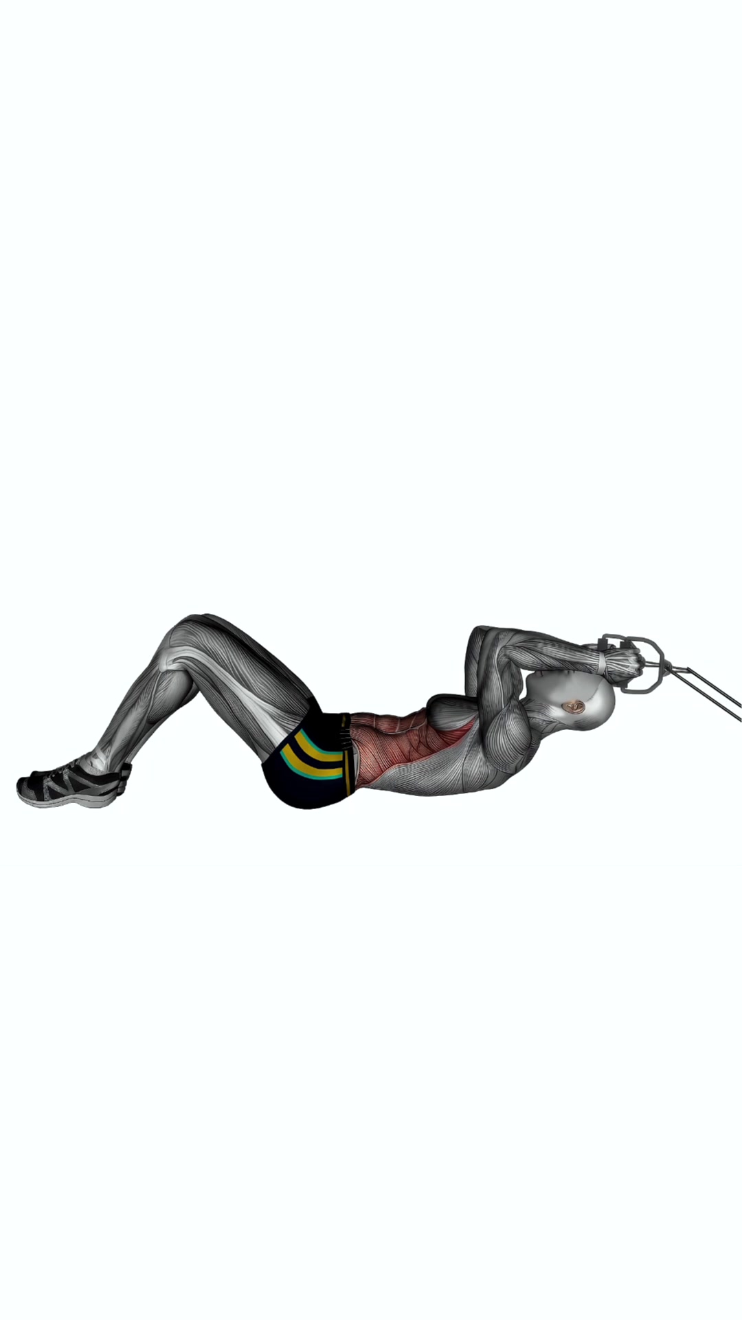 Lying Abs Resistance Band