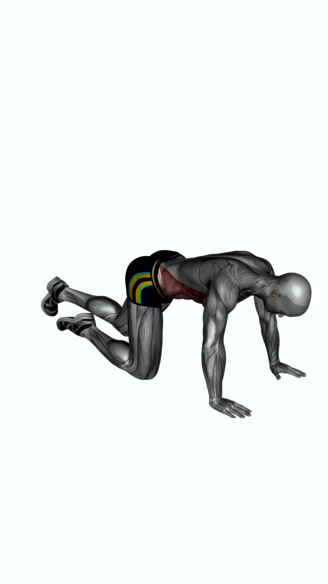 Mountain Climbers