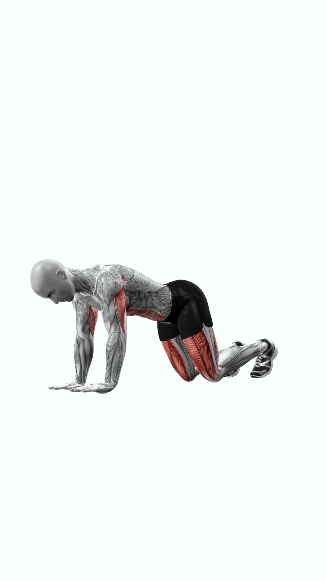 Plank Knee Tucks