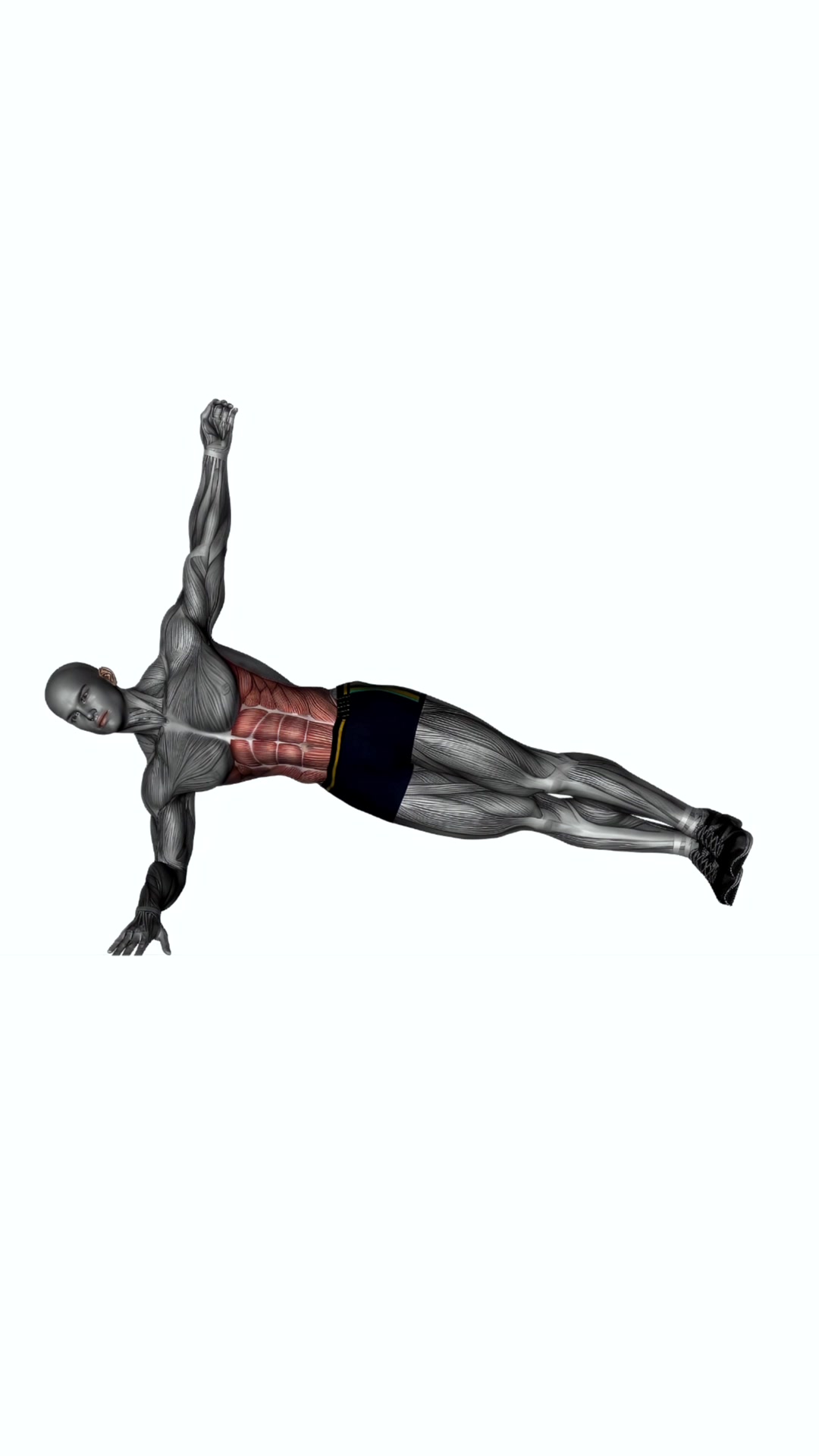 Plank Reach Through