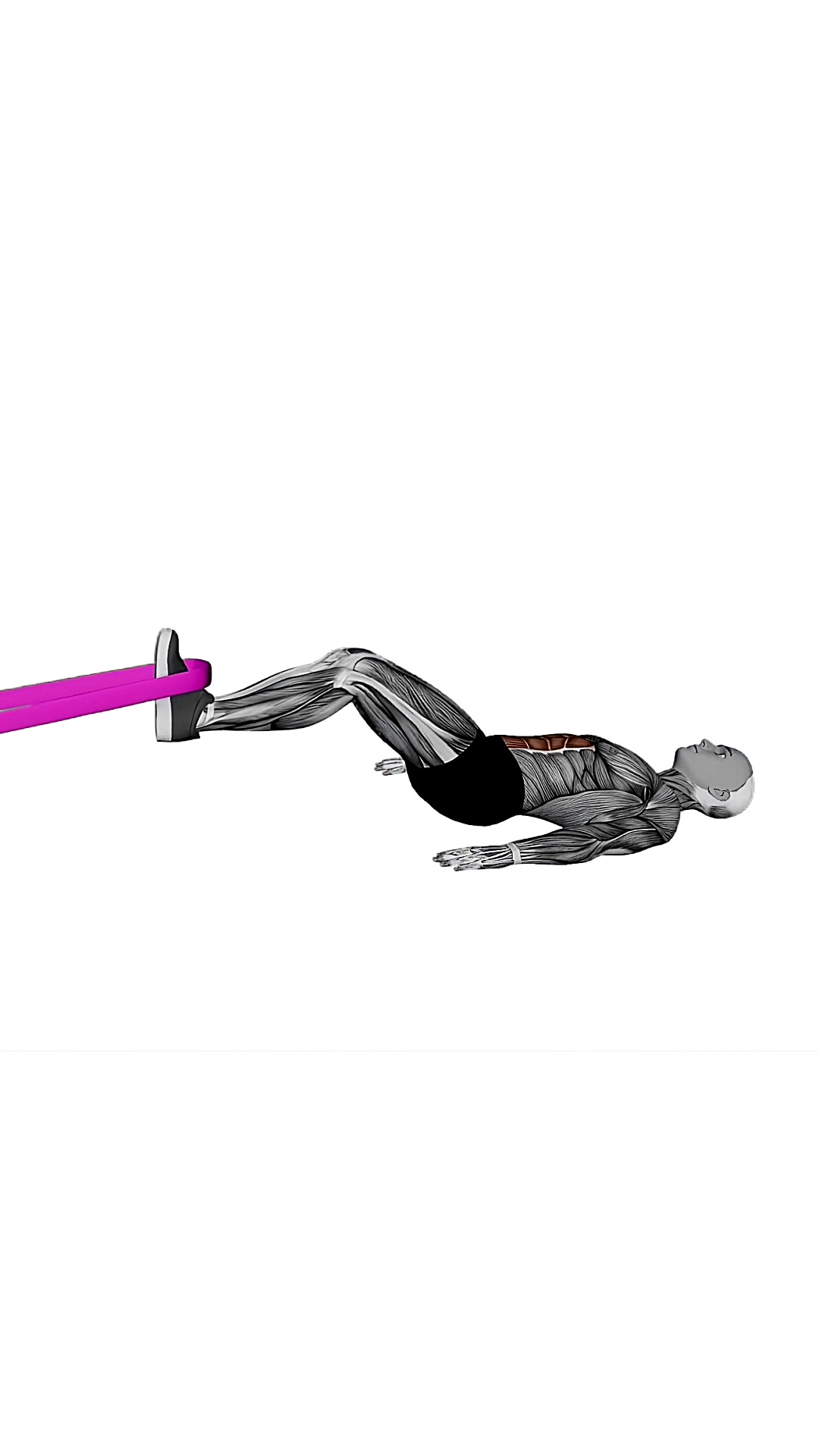 Resistance Band Lying Bent Knee Raise