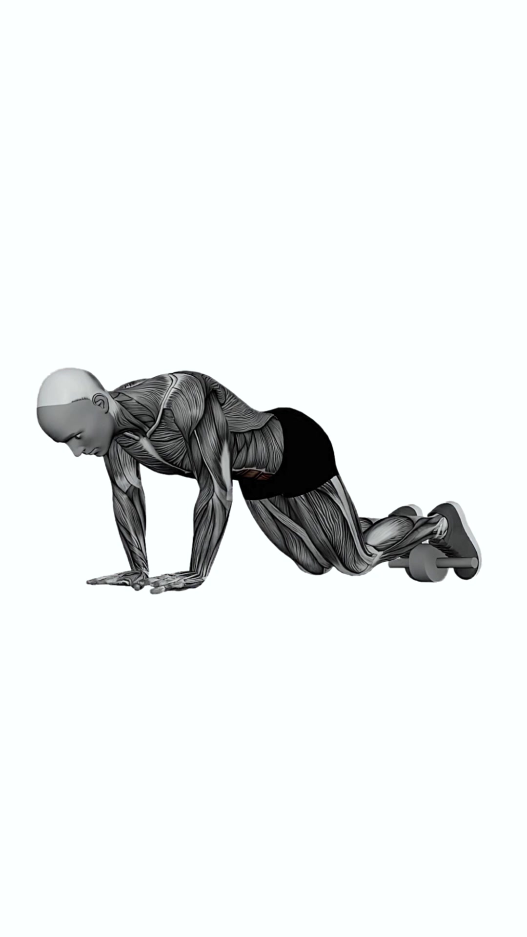 Reverse Ab Wheel Rollout