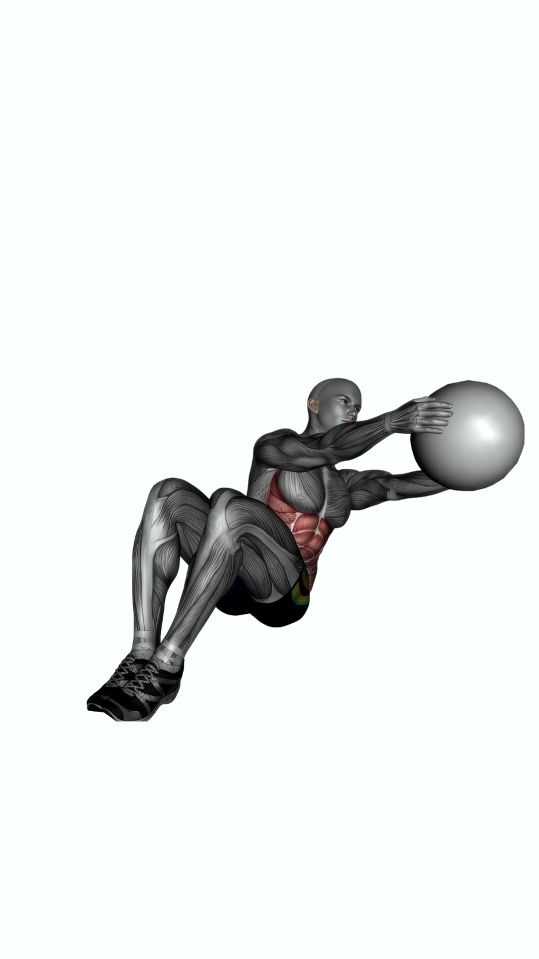 Russian Twist Weighted Ball