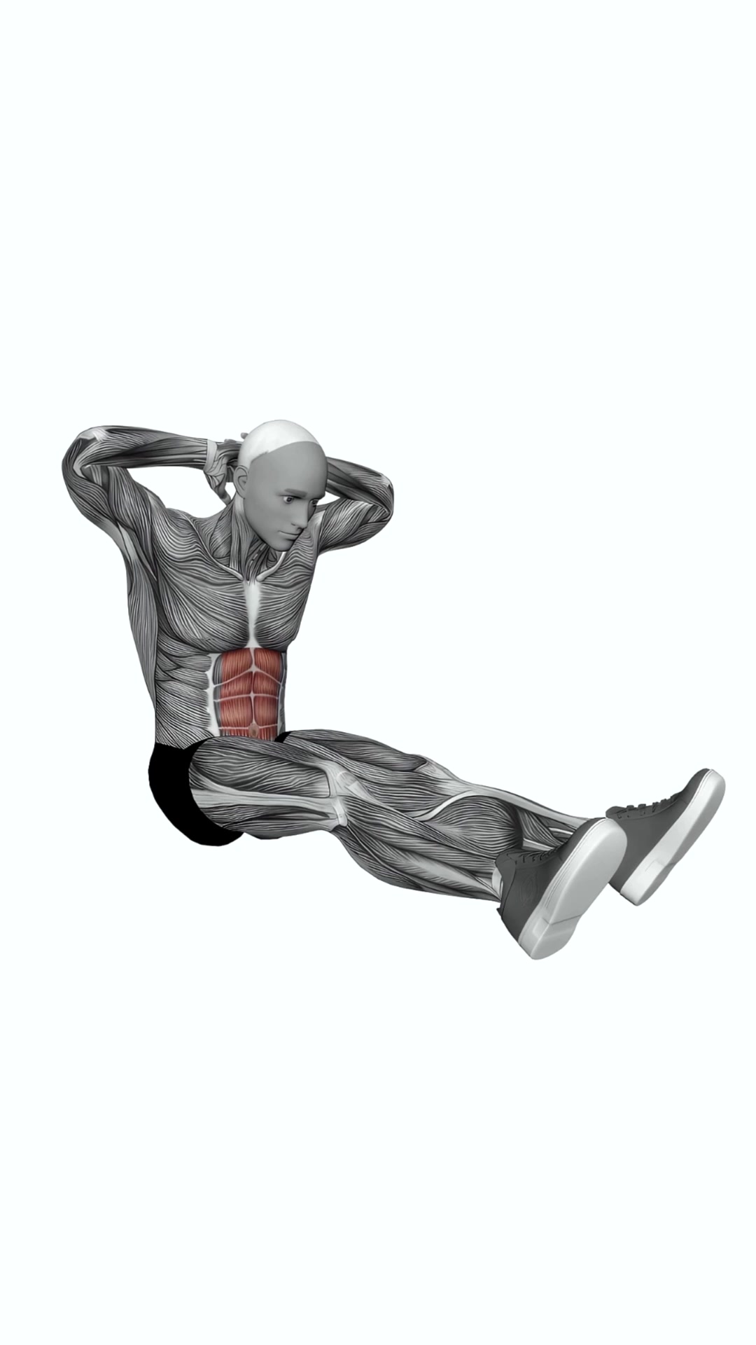 Seated Floor Crunches