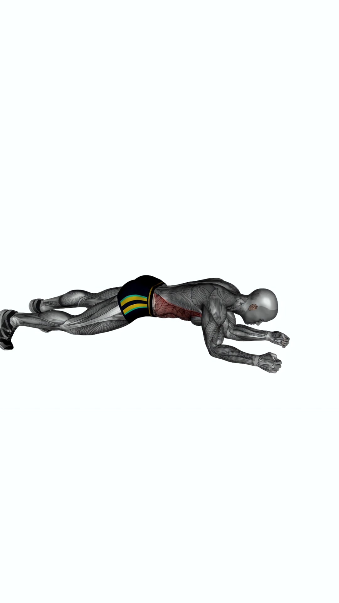Spider Plank