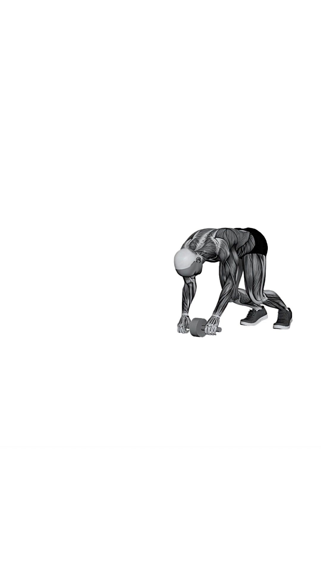 Standing Ab Wheel Rollout
