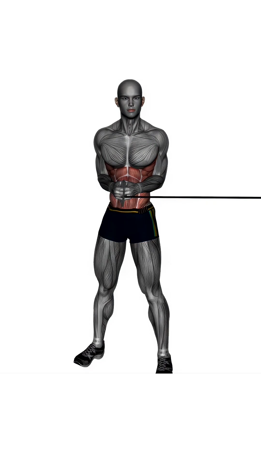 Standing Cable Oblique Twist