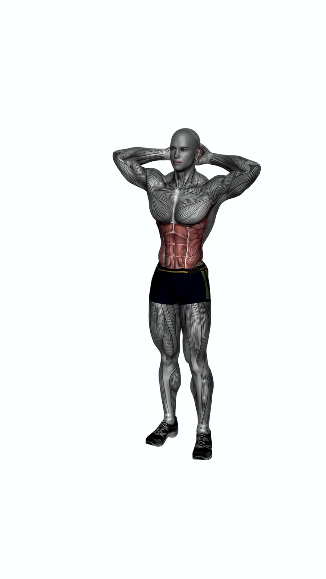 Standing Oblique Crunch
