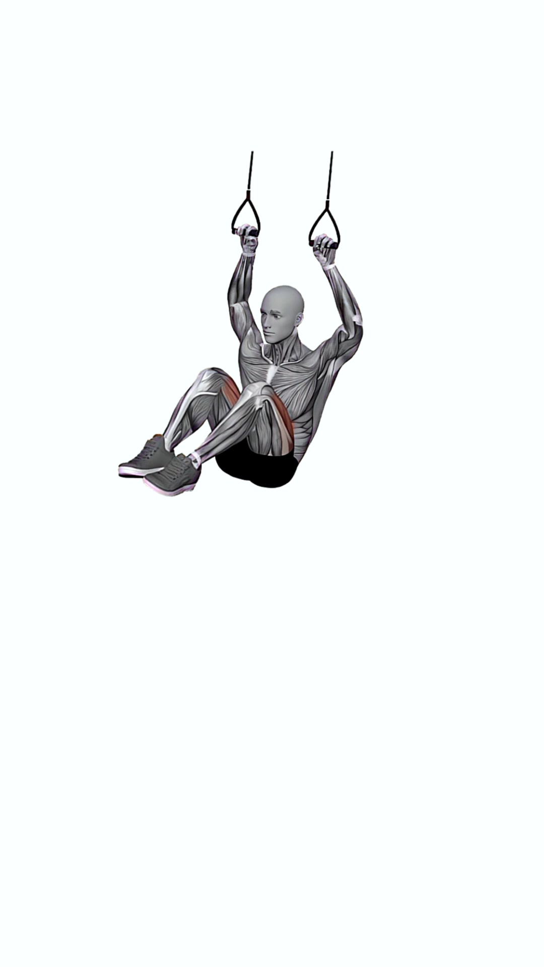 Suspension Trainer With Grips Hanging Knees To Elbows