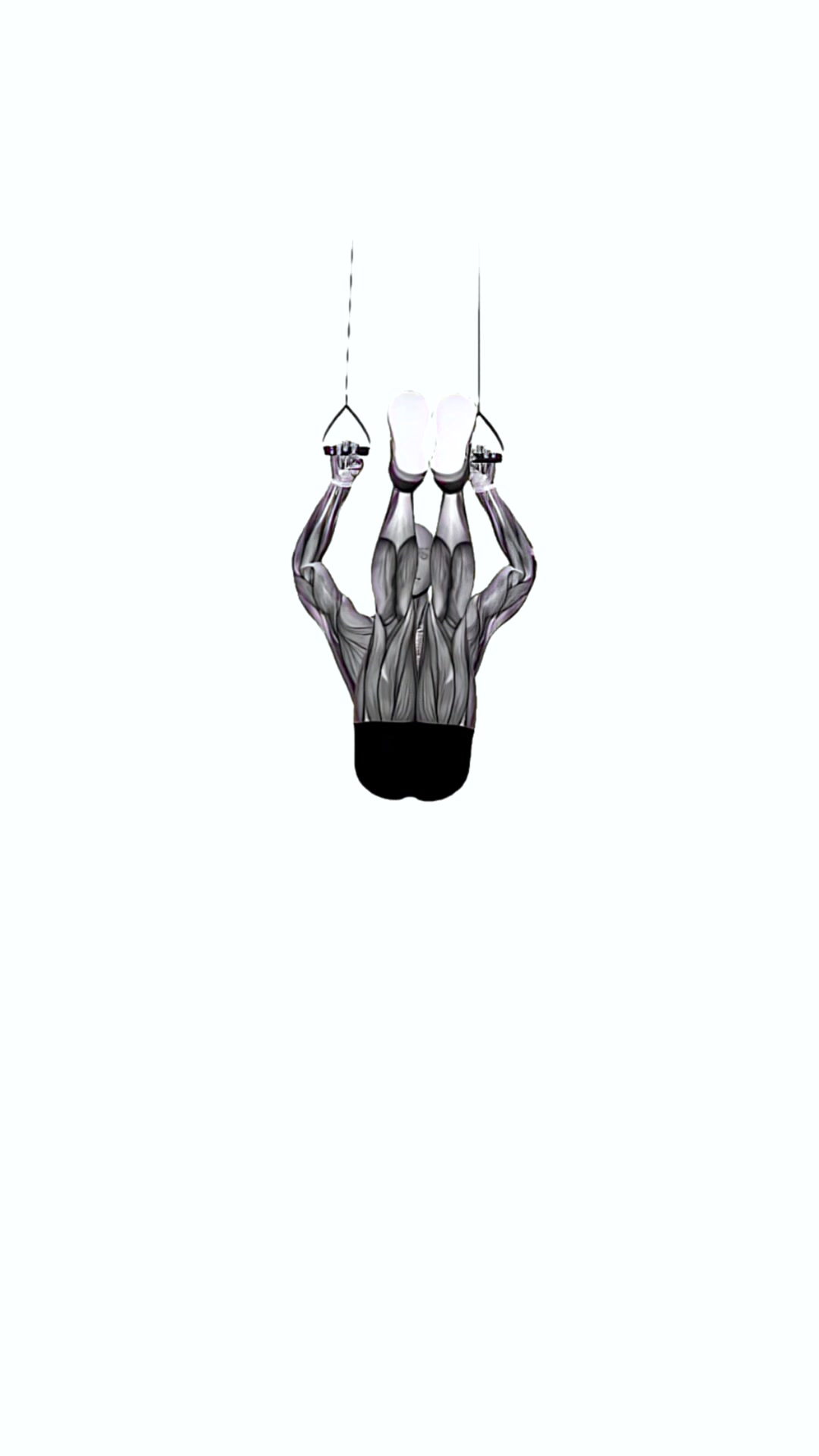 Suspension Trainer With Grips Hanging Straight Leg Hip Raise