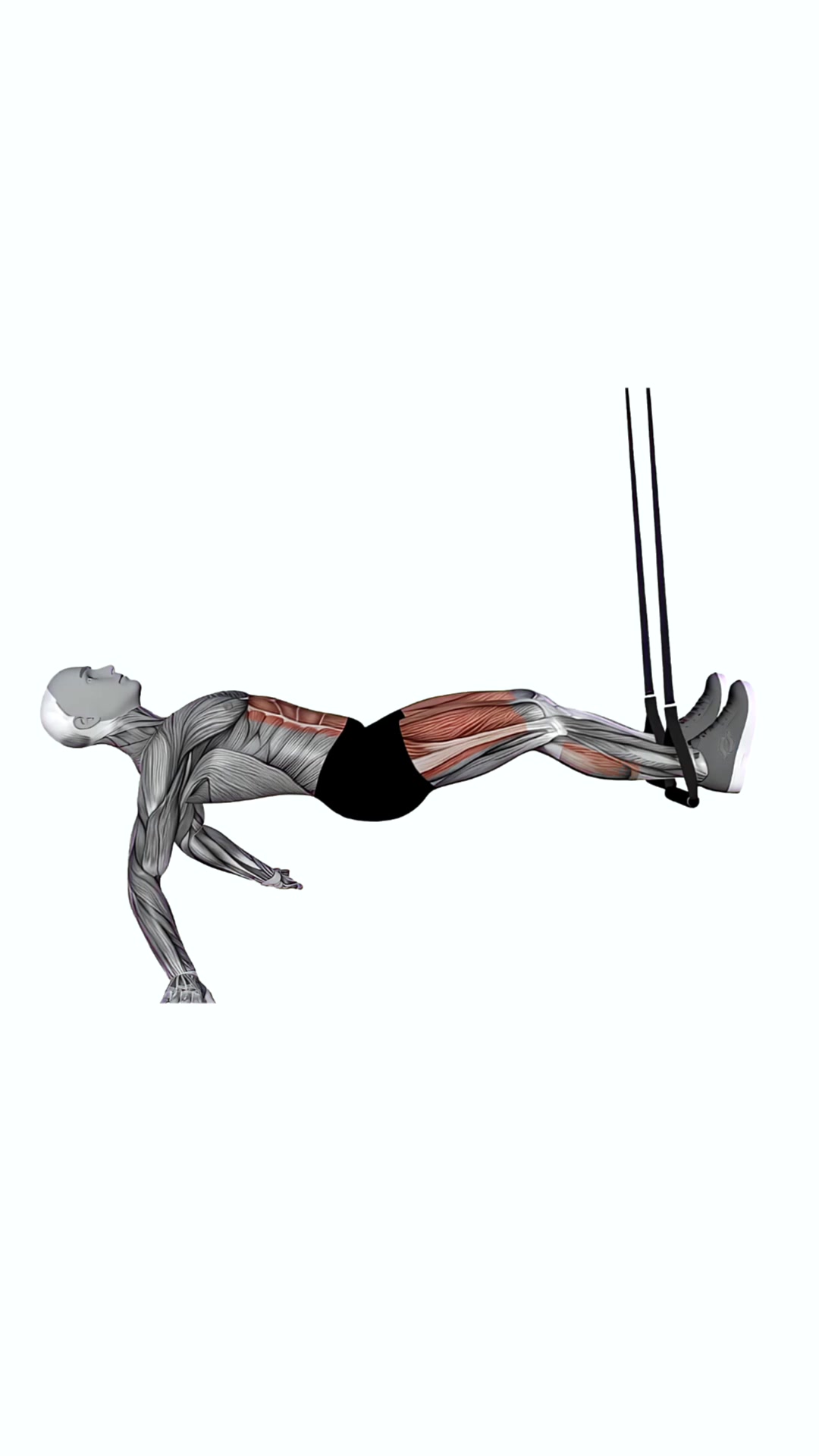 Suspension Trainer With Grips Pull Through