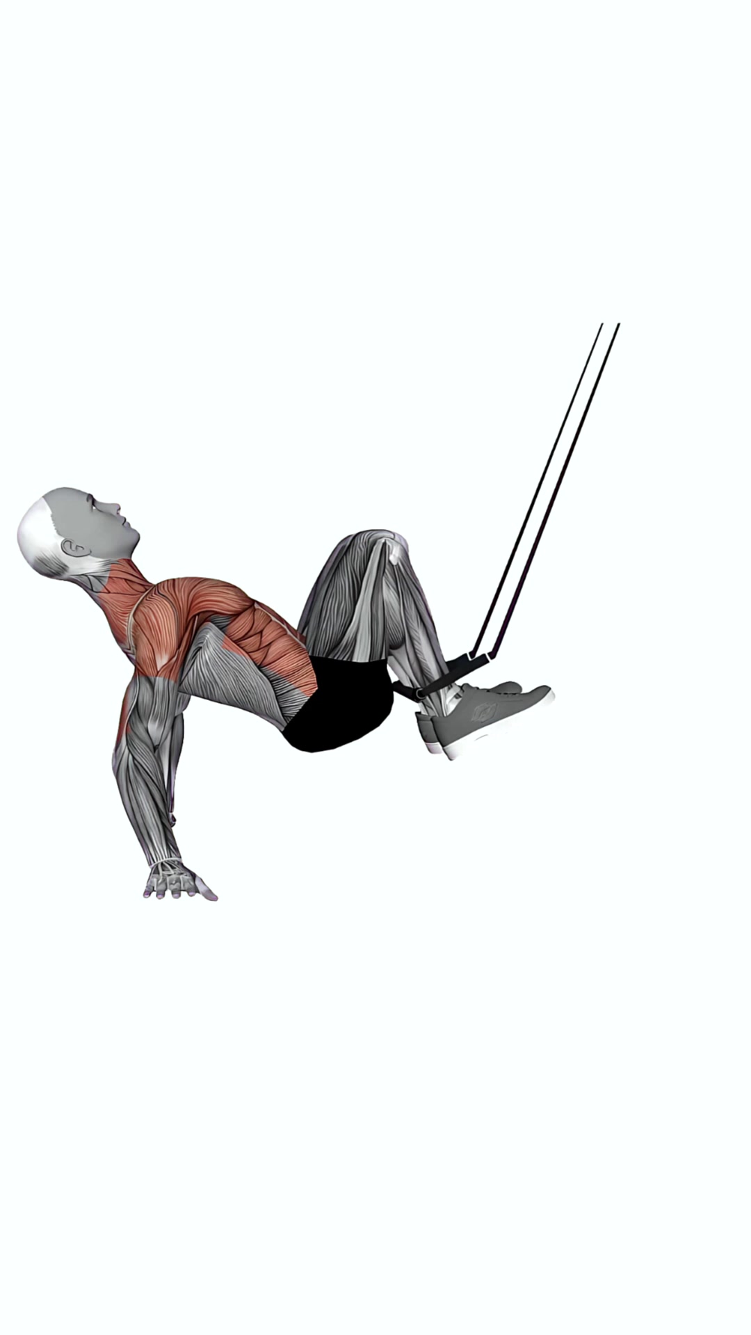 Suspension Trainer With Grips Supine Crunch