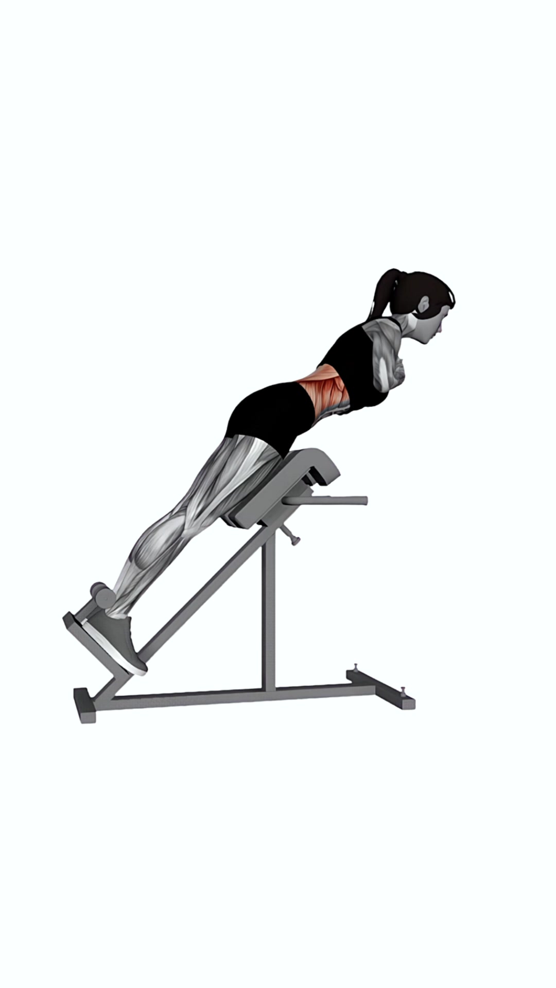 45 Degree Hyperextension (arms In Front Of Chest)