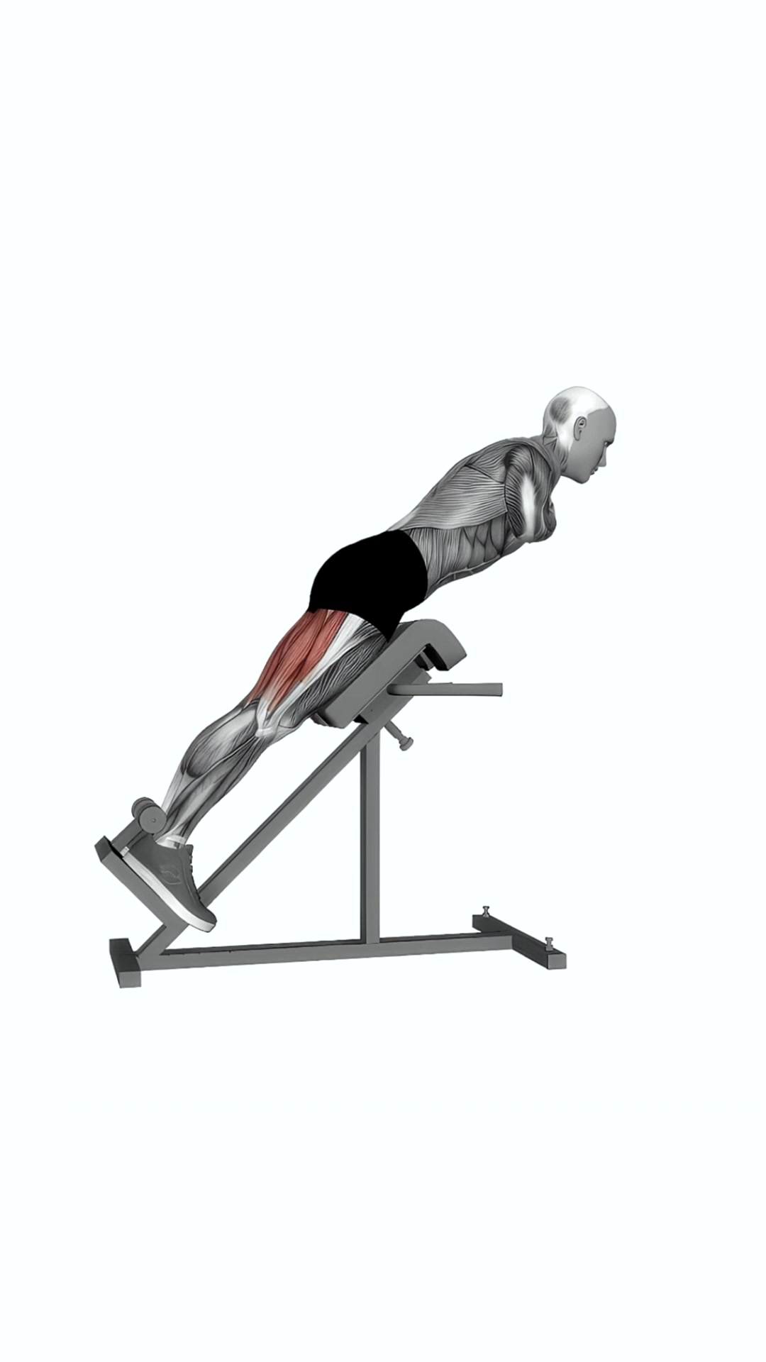 45 Degree Hyperextension Arms To Chest