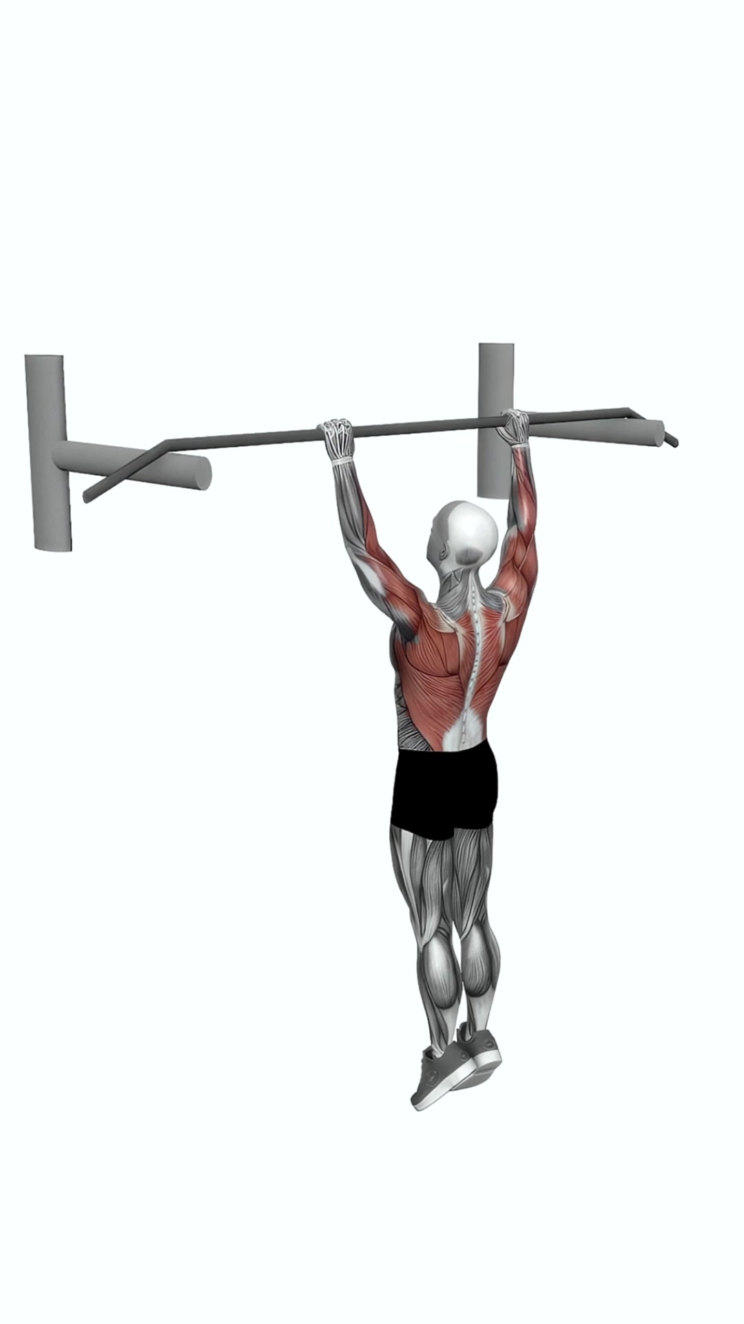 Archer Pull Up
