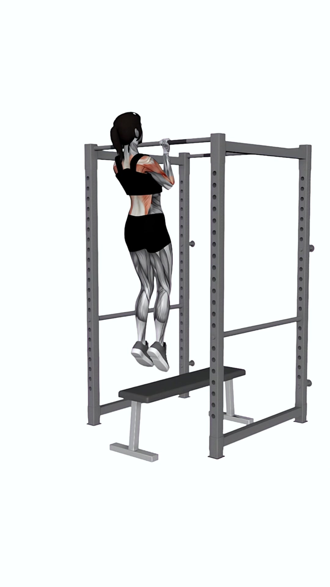 Assisted Chin-up On A Bench