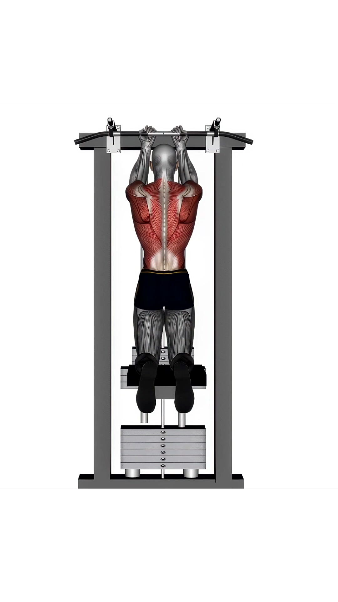 Assisted Chin Up Reverse Close Grip