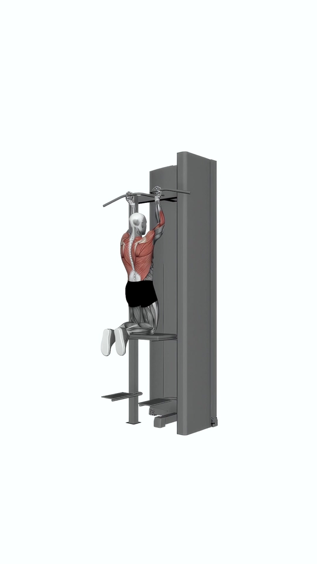 Assisted Close Grip Underhand Chin Up