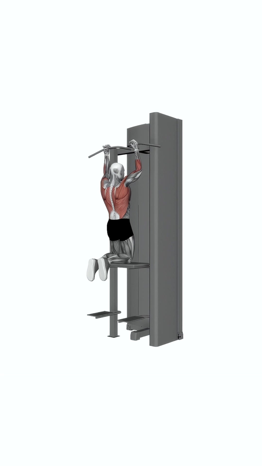 Assisted Parallel Close Grip Pull Up