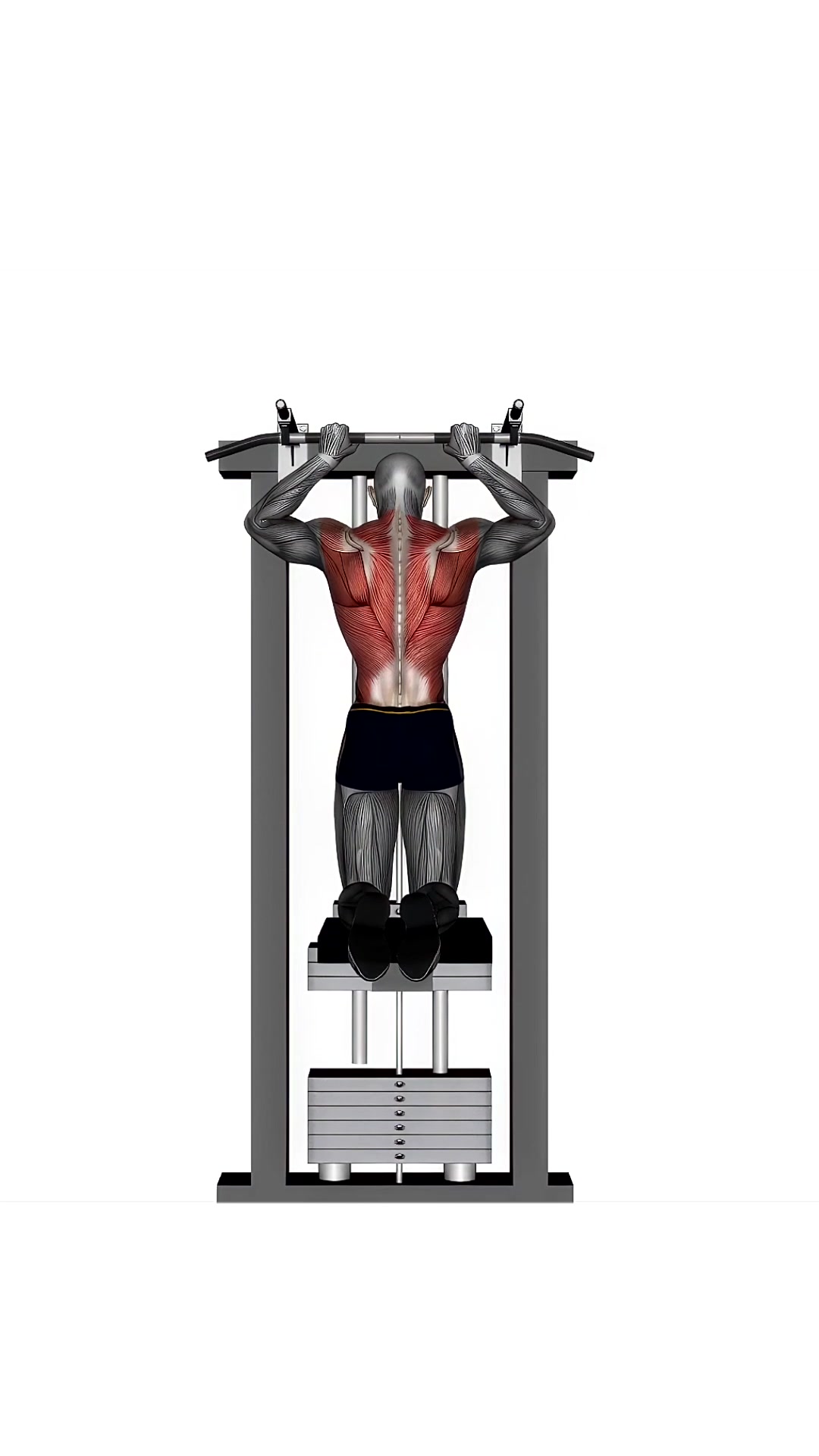 Assisted Pull Up Close Grip