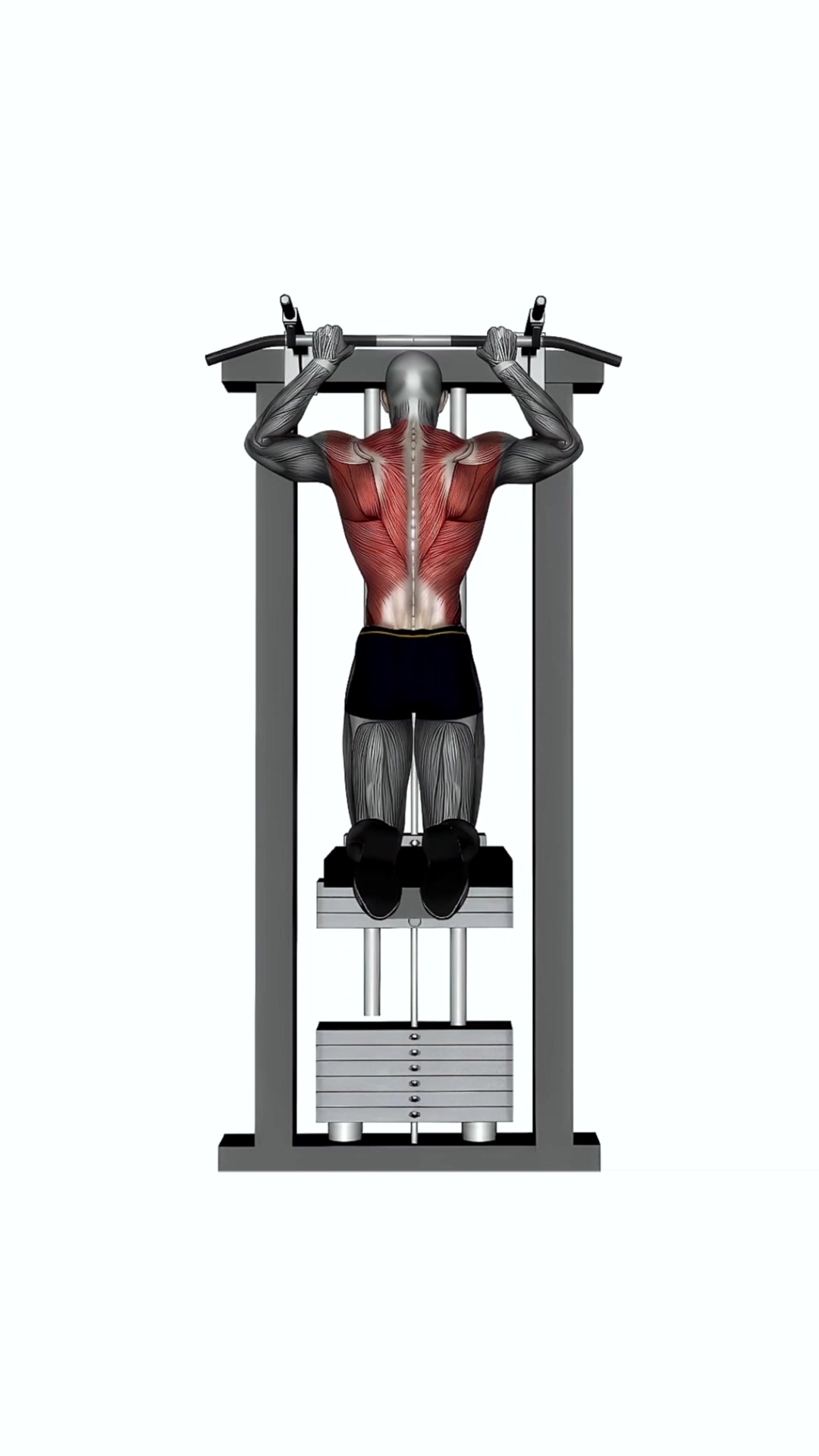 Assisted Pull Up Normal Grip