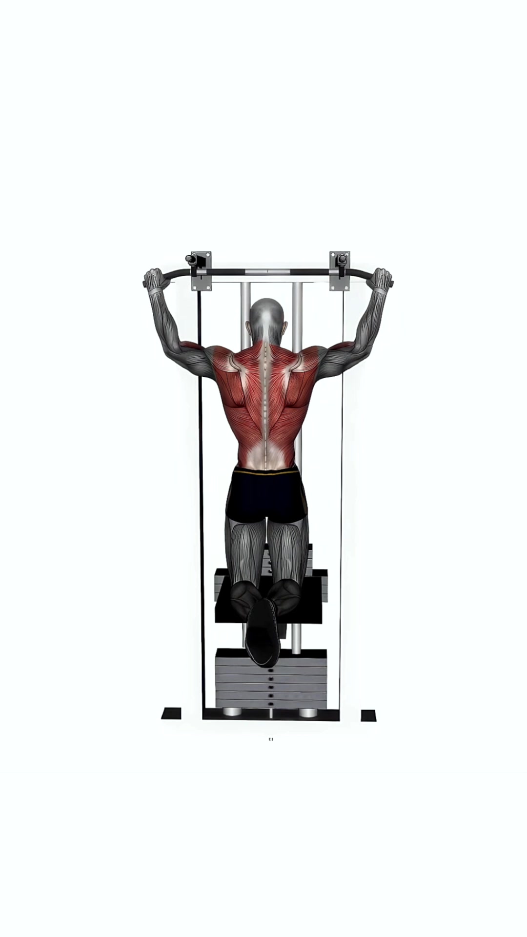 Assisted Pull Up Wide Grip