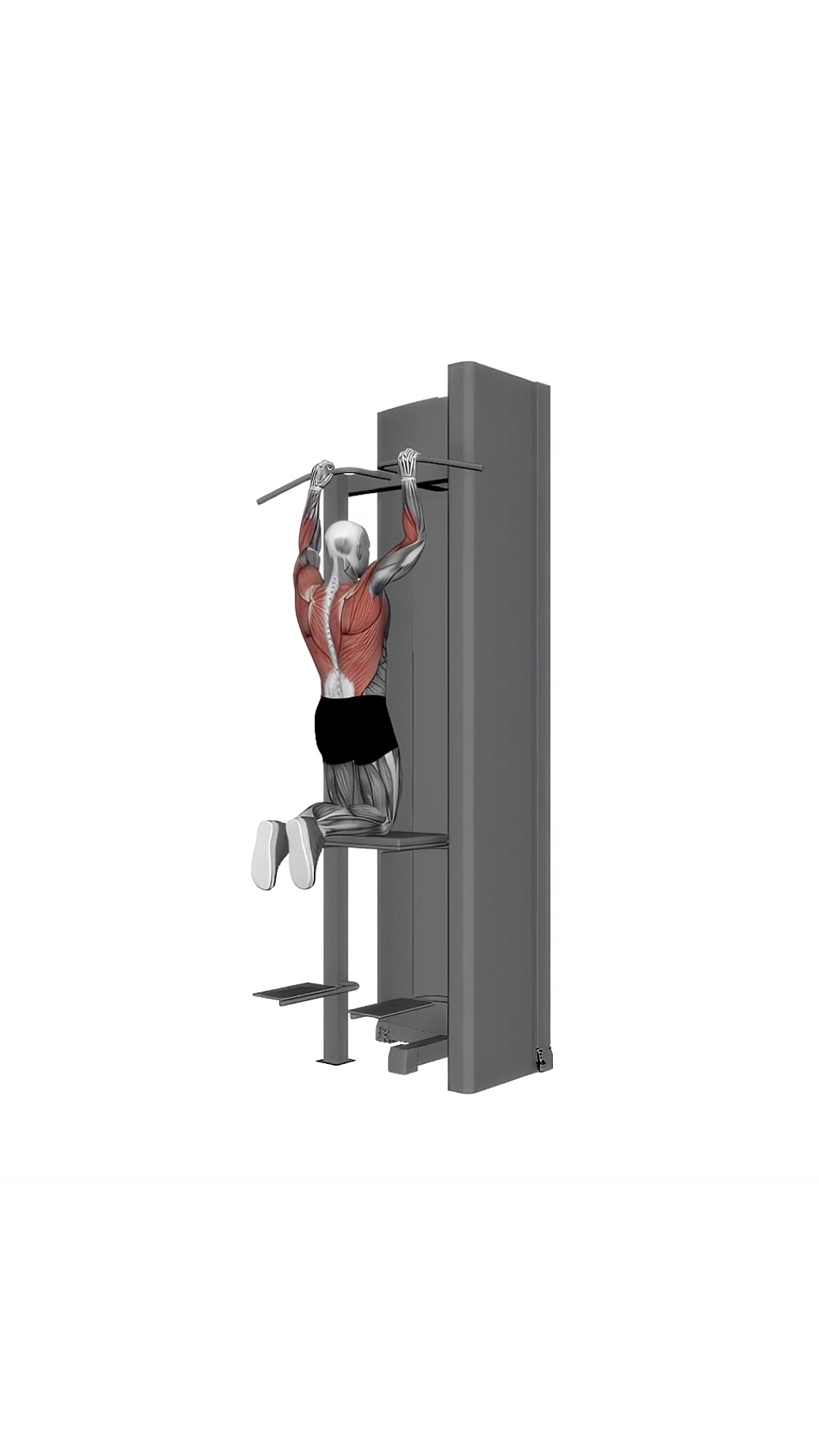 Assisted Pull Up